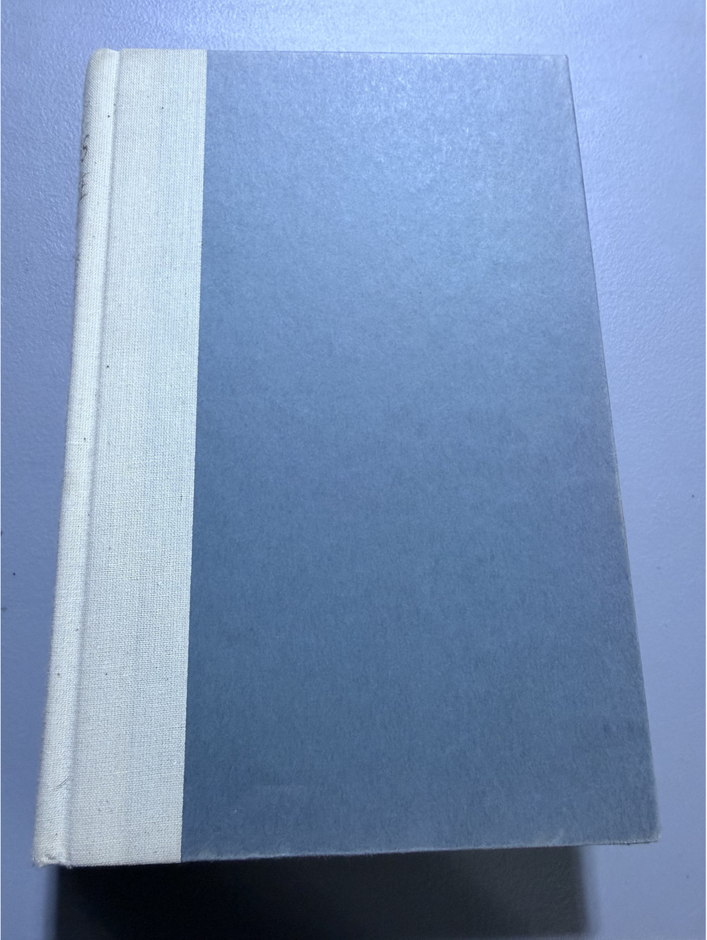 Swan's Chance Celeste De Blasis 1985 1st Ed Hardcover Bantam Books Wild Swan